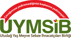 UYMSİB İHRACAT RAPORU KASIM 2019