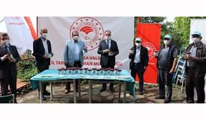 MEYVEDE VERİM DOĞAL YÖNTEMLERLE ARTIRILACAK