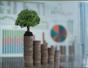 Sürdürülebilirlik Konusunda İhracatçılara Yönelik Destekler