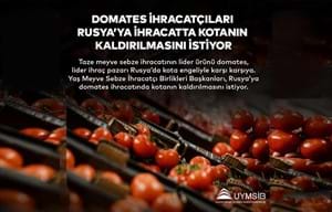 DOMATES İHRACATÇILARI RUSYA'YA İHRACATTA KOTANIN KALDIRILMASINI İSTİYOR
