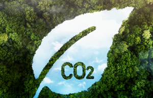 Kurumsal Karbon Ayak İzi