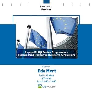 Avrupa Birliği Destek Programları: Türkiye İçin Fırsatlar ve Uygulama Stratejileri